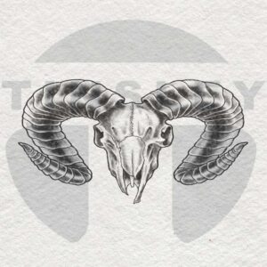 Ram Skull Tattoo Image